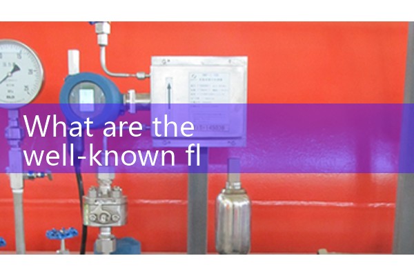 Flow meter manufacturer